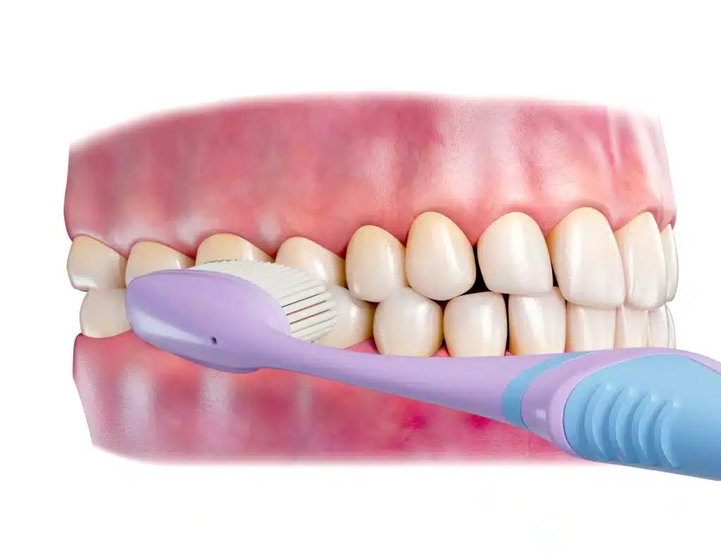 illustration of tooth brushing